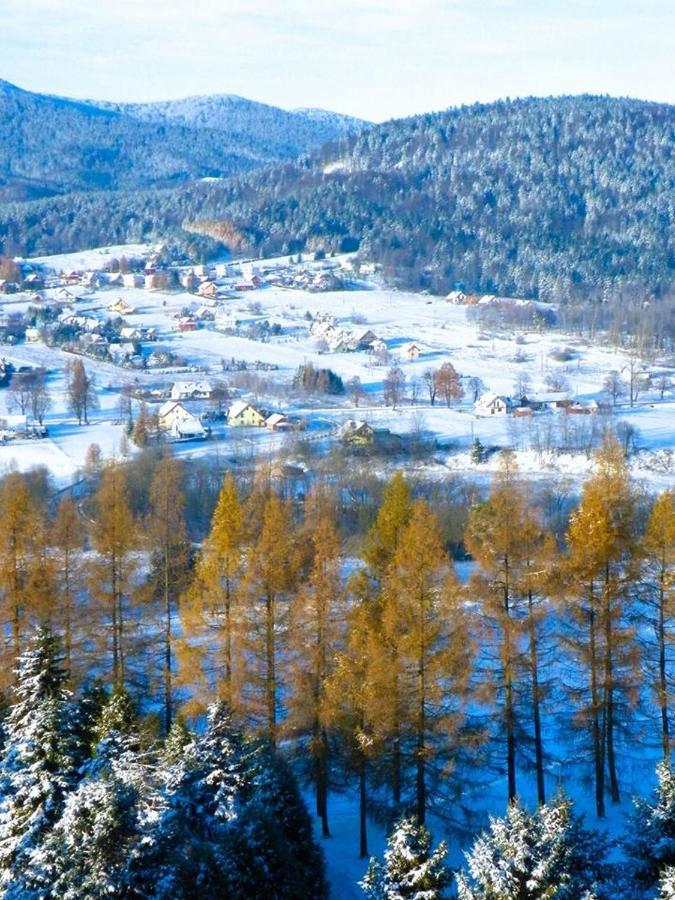Osrodek Uzdrowiskowy Beskid Hotell Wysowa-Zdrój Exteriör bild